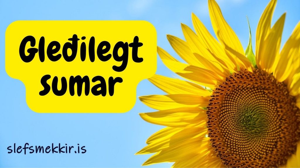 Gleðilegt sumar