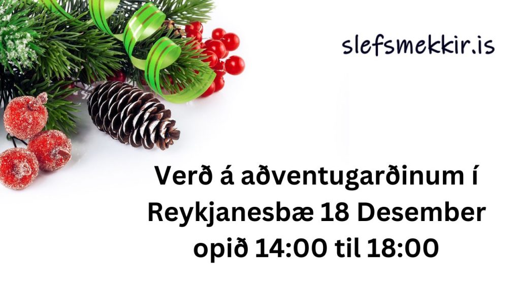 Verð á aðventugarðinum í reykjanesbæ 18 Desember