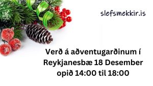 Verð á aðventugarðinum í reykjanesbæ 18 Desember